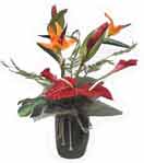 Tropical Arrangement